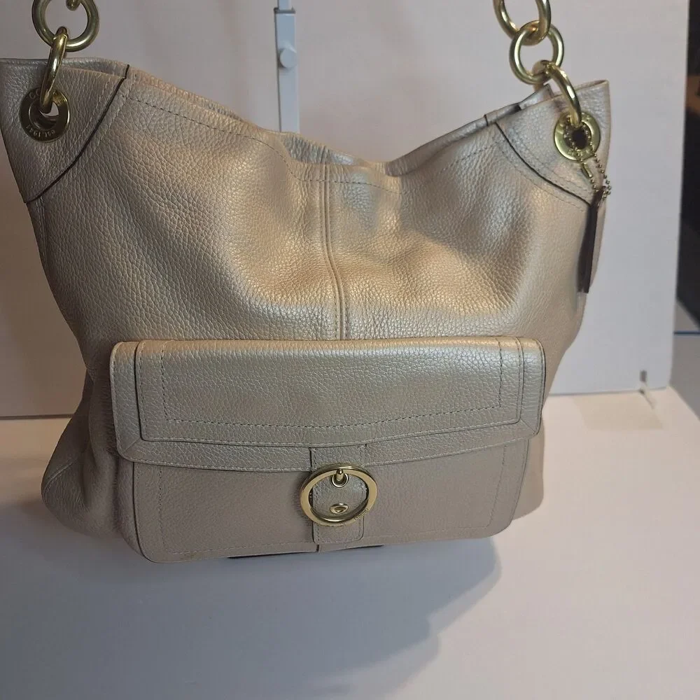 Coach Penelope Opalescent Leather Hobo Handbag. F18889